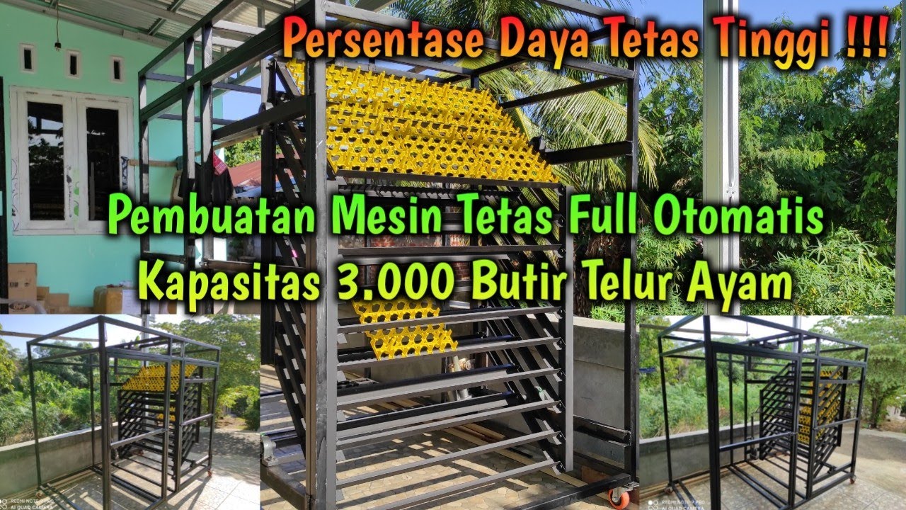 Cara Lengkap Membuat Mesin Tetas FULL OTOMATIS Kaps 3.000 Butir || Presentase DAYA TETAS TINGGI