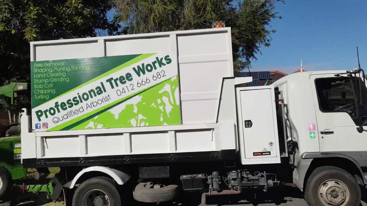 All In a Days Work - Professional Tree Works - YouTube
