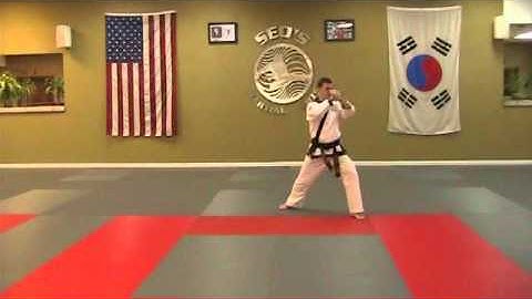 Pyung Ahn 4 - Rear View - Without Count