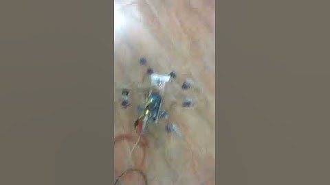 HEXAPODO CON ARDUINO - MOV  COMUN ADELANTE
