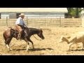 Cutting Horse - Ranch Sorting - Trail Riding Horse For Sale