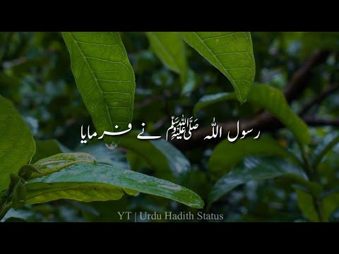 🌷🌷🌷Hadees In Urdu Status For Whatsapp🌹🌹🌹 || 💞💞Hadees Status New Video💕💕 || ✨Urdu Hadith Status✨