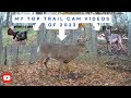 My top 10 trail cams of 2023 deer turkey coyote