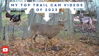 My Top 10 Trail Cam Videos of 2023 (Deer, Turkey, Coyote!)