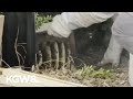 Changing Tualatin water meter creates a buzz