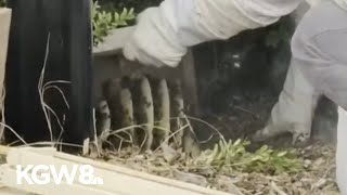 Changing Tualatin water meter creates a buzz