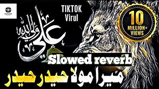 Mera Mola Haider Haider | Slowed Reverb | Hafiz Rizwan Ghuman |TikTok Viral Video 2023 Full Manqabat Resimi