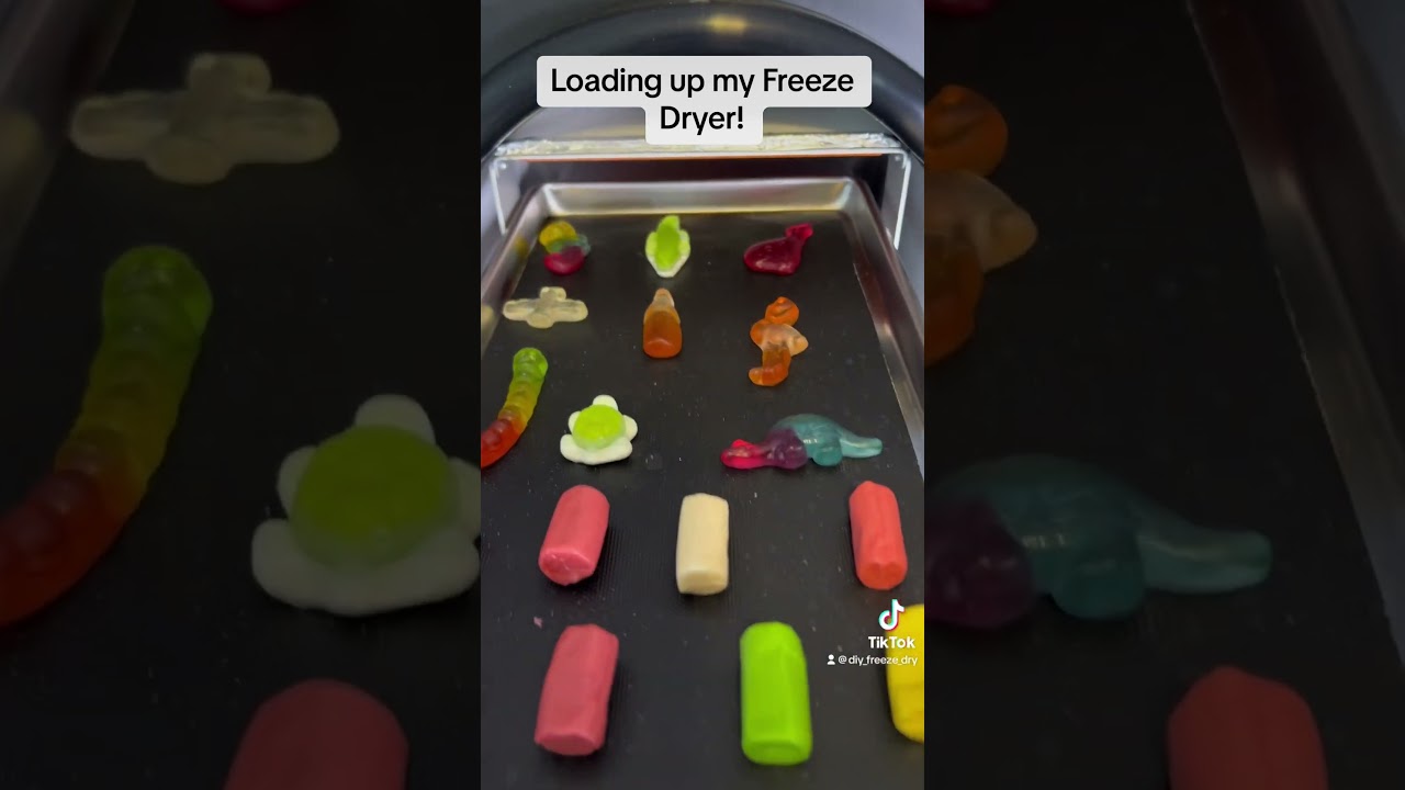 What Happens When You Freeze Dry Candy? This is Freeze Drying TKOR Style! 