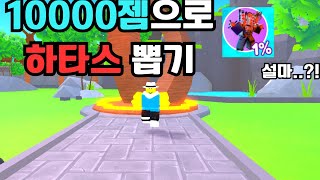 10000젬으로 하타스 뽑기 설마 나오겠어 어..?!