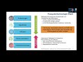 Green Computing durch Hardware Spezialisierung und Codesign