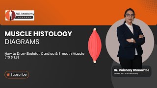 Muscle Histology Diagrams | How to Draw Skeletal, Cardiac & Smooth Muscle (TS & LS)