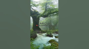 تلاوة هادئة وخاشعة / سورة المؤمنون ، الآية ١١١