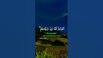 قرأن كريم راحة نفسية #elmulquranعلم #تلاوة #اكسبلور #aslam #المصحف #trend #لايك #قران_كريم