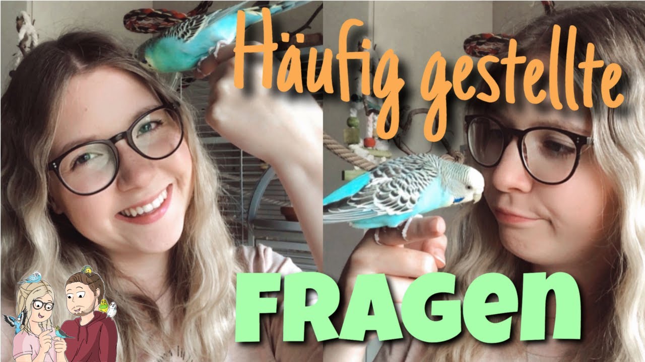 Die Dümmsten Fragen Die Jemals Im Internet Gestellt Wurden Eure am häufigsten gestellten Fragen🤷🏼‍♀️🐥 - YouTube