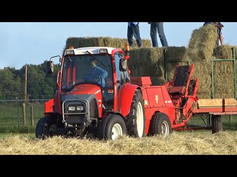 Lindner Geotrac 50 + Welger AP 630 | Shooting Bales! | Balen Persen | Netherlands | 2015.