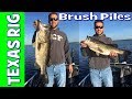 BIG BASS at Lake Toho on BRUSH PILES in the Spring