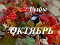 РЫБЫ.  ПРОГНОЗ на ОКТЯБРЬ 2023  года. ТАРО. Татьяна Шаманова