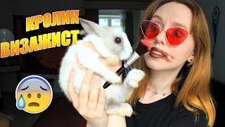 МОЙ КРОЛИК ДЕЛАЕТ МНЕ МАКИЯЖ 🐾ЖИВОТНЫЕ УПРАВЛЯЮТ МОИМ МАКИЯЖЕМ♥Leah Nadel