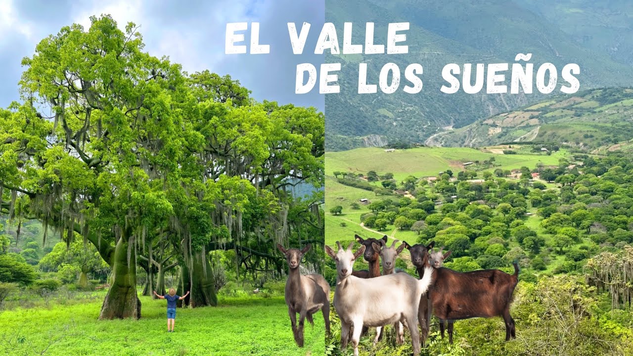 el VALLE de los SUEÑOS “el ceibal” LOJA 🌳🐐 Josué y Elie
