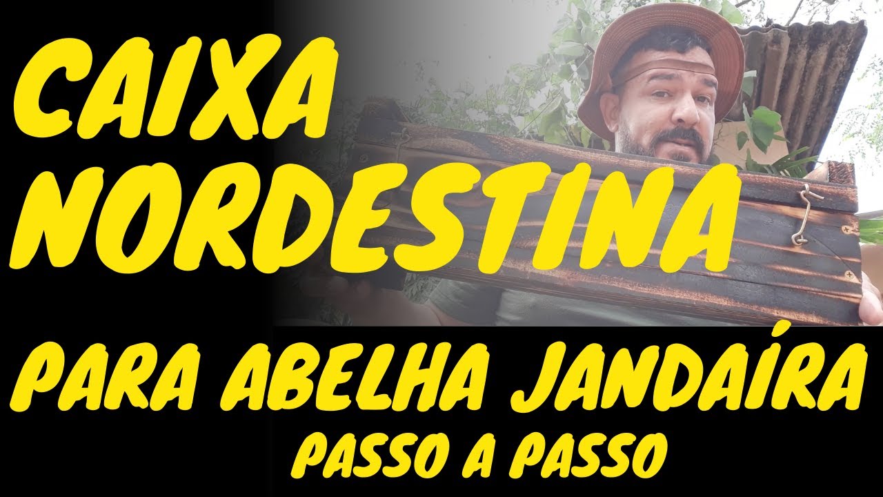 CAIXA NORDESTINA para ABELHA JANDAÍRA