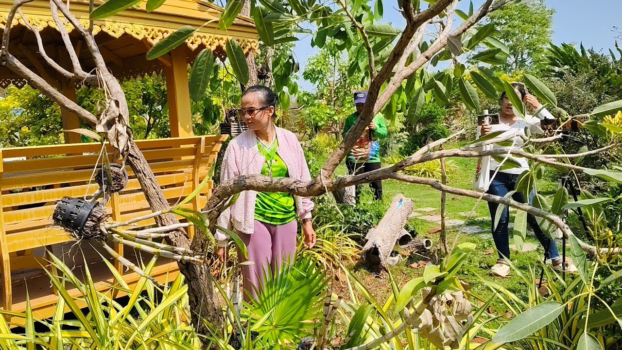 ป้าแต๋นบอกให้ย้ายอะไร    จะเอาไปลงตรงไหน  แล้วลุงจะว่าอย่างไร