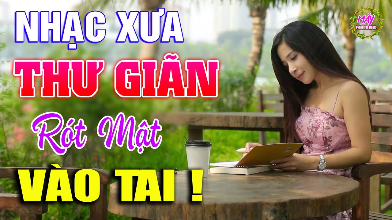Liên Khúc Nhạc Xưa Không Lời Phòng Trà | Người Mẫu Quán Cà Phê - Rót Mật Vào Tai, Du Dương Cả Ngày