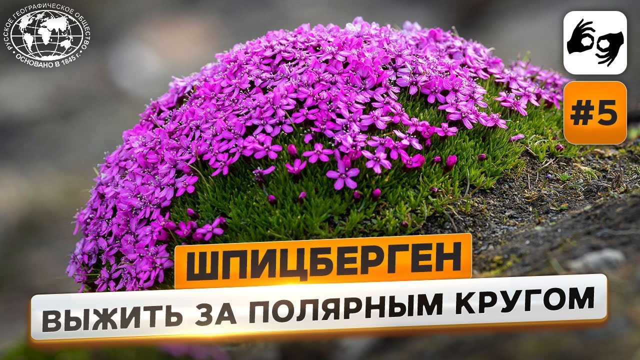 Шпицберген: природа острова