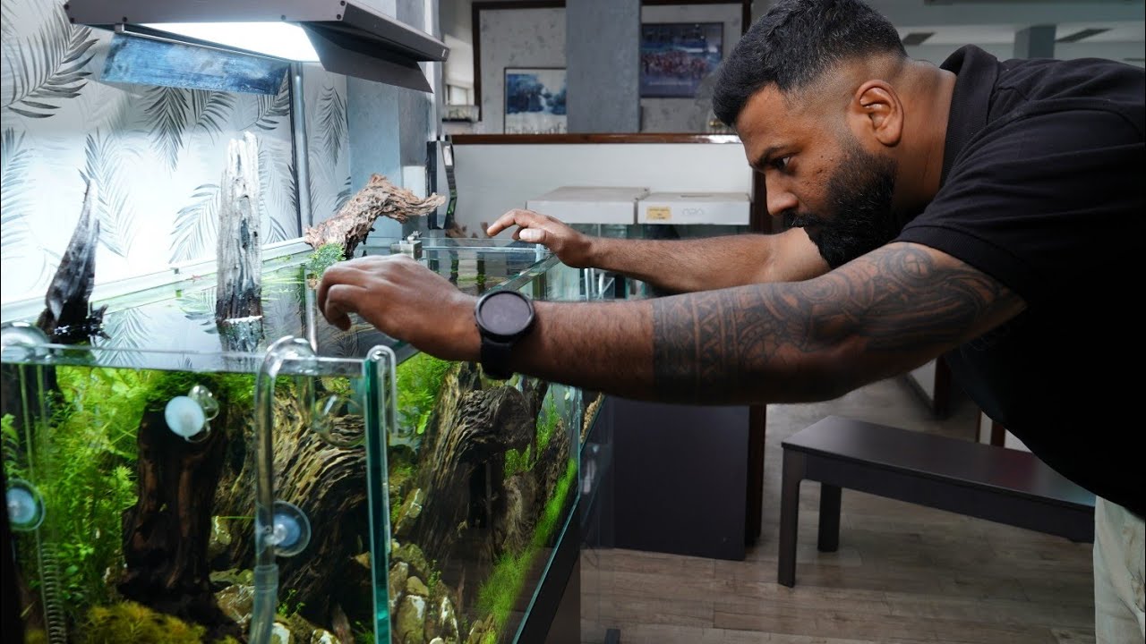 TIAS 2025 at Aqua Club Bangalore | Live Aquascaping Masterclass with Adip Sajjan Raj