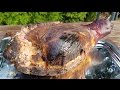 ÐšÐžÐŸÐ¢Ð˜Ðœ ÐÐžÐ“Ð£ Ð¦Ð•Ð›Ð˜ÐšÐžÐœ  14 ÐšÐ“ (ÑÐ²Ð¸Ð½Ð¸Ð½Ð°)