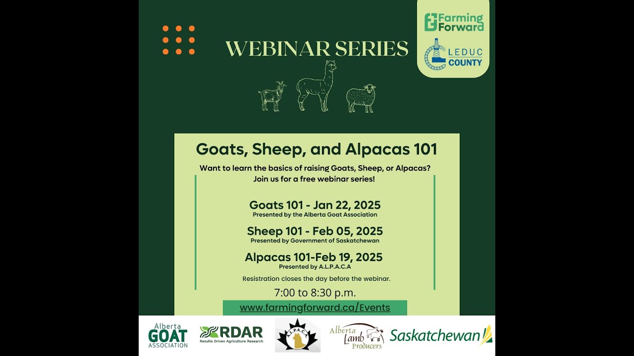 Sheep 101 Webinar Recording