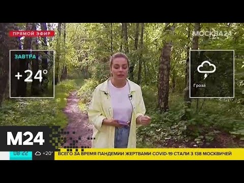 "Утро": дожди и грозы ожидаются в Москве 11 июня - Москва 24