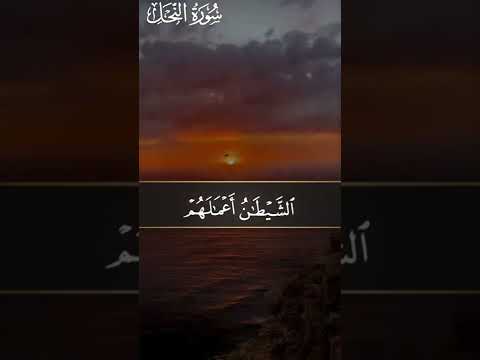 محمد صديق المنشاوي ت ٱلل ه ل ق د أ ر س ل ن ا إ ل ى أ م م م ن ق ب ل ك