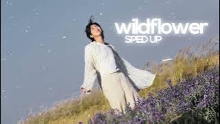 Download lagu wildflower - RM (sped up)