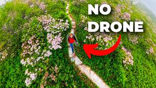 Get Drone Shots Without a Drone! - Insta360 X5 Review