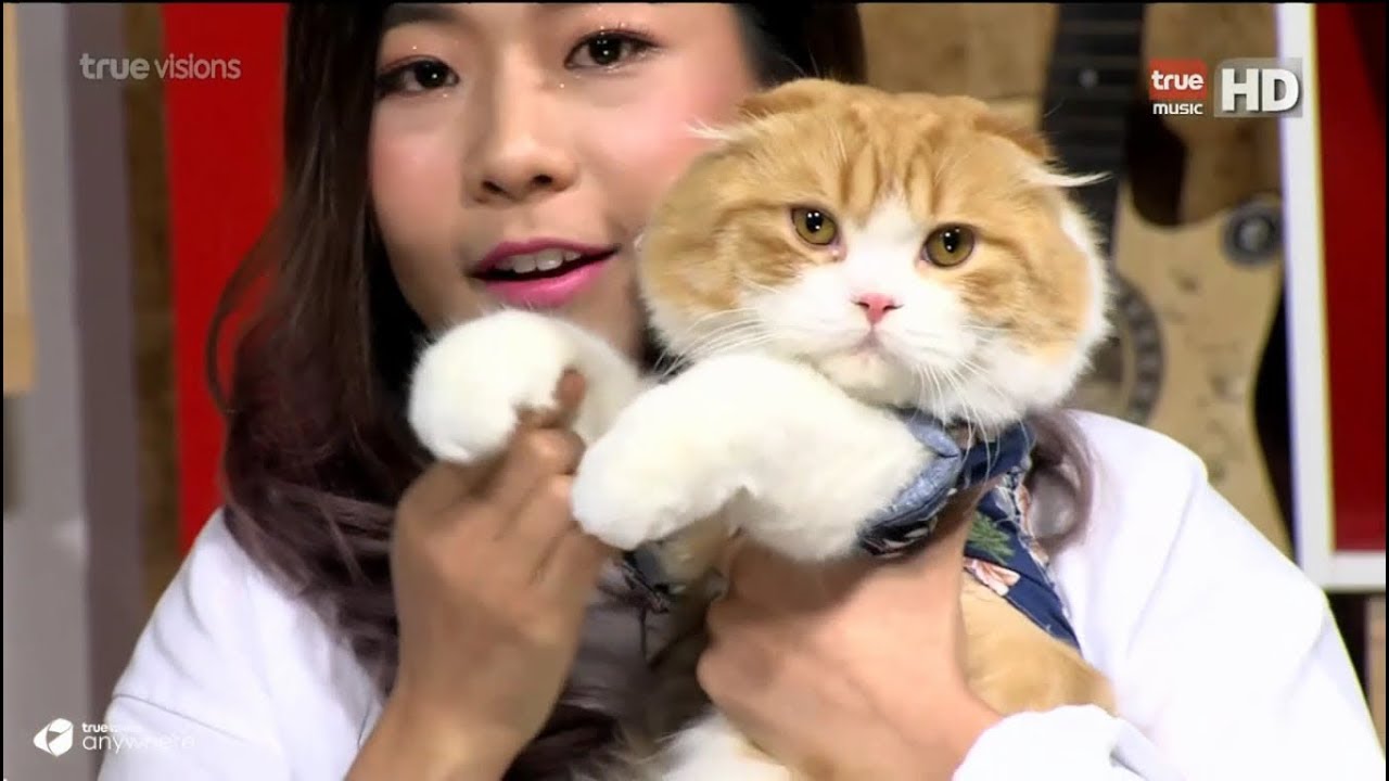 [15.5.2561] น้ำ กัญญ์กุลณัช @ รายการ The Guest #Leenam #เอมน้ำ