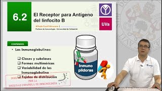 6.2 EL RECEPTOR PARA ANTÍGENO DEL LINFOCITO B