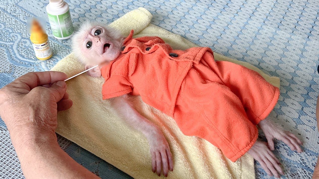 Poor was injured while playing on the farm making Hong worried!