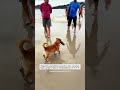 Caramelo pescador