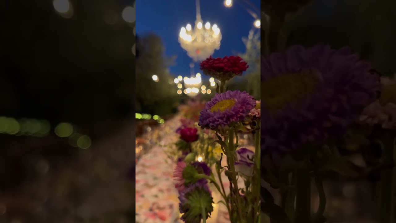 Belagaggio Wedding decor 🇮🇹 