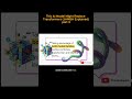 This AI Model Might Replace Transformers (JAMBA Explained)