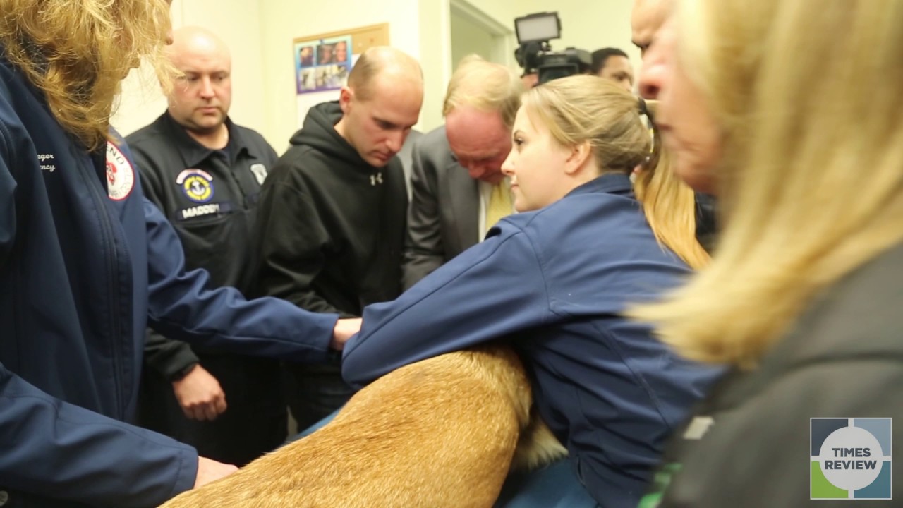 East End Veterinary donate boxes and services to K9 officers YouTube