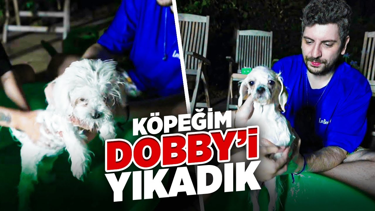 CANLI YAYINDA KÖPEĞİMİ YIKADIM! | Dobby'yi Yıkadık & Derin Sohbet