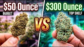Indoor Weed vs Outdoor Weed: Lab Tested Differences