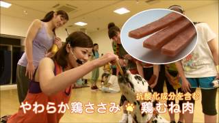 ドギーマン  紗「犬康生活」