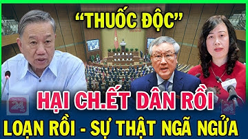 Động trời! Bộ Công an kê biên hơn 300 tỷ đồng tài sản của Hoàng Hường giữa đại án 5.000 tỷ”