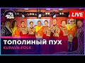 Kupava-Folk - Тополиный Пух (Иванушки International cover) LIVE @ Авторадио