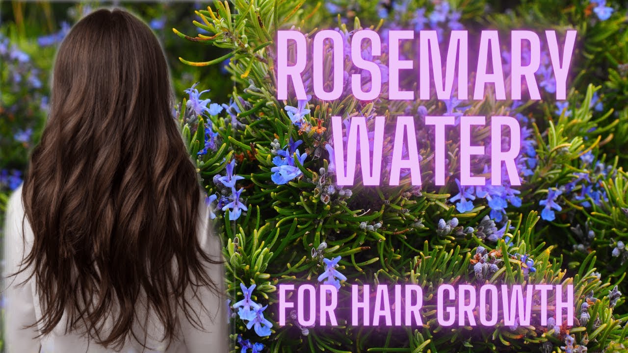 Rosemary Hair Water Rosemary Water for HAIR GROWTH FULL Rosemary