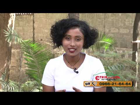 ቪዲዮ: በክረምት ወቅት የመኪና ሞተርን ማሞቅ ለምን የማይቻል ነው-እውነት ነው ወይስ አፈ ታሪክ ፣ ምን ሊያስፈራራ ይችላል ፣ በመኪናው ላይ ምንም ጉዳት አለ