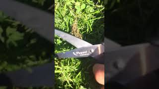 We Cut A Few Blades Of Grass With Sisors An Stab Dabed