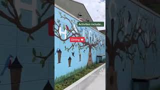 Halcyon Things to do in Alpharetta Georgia❤️ #shorts